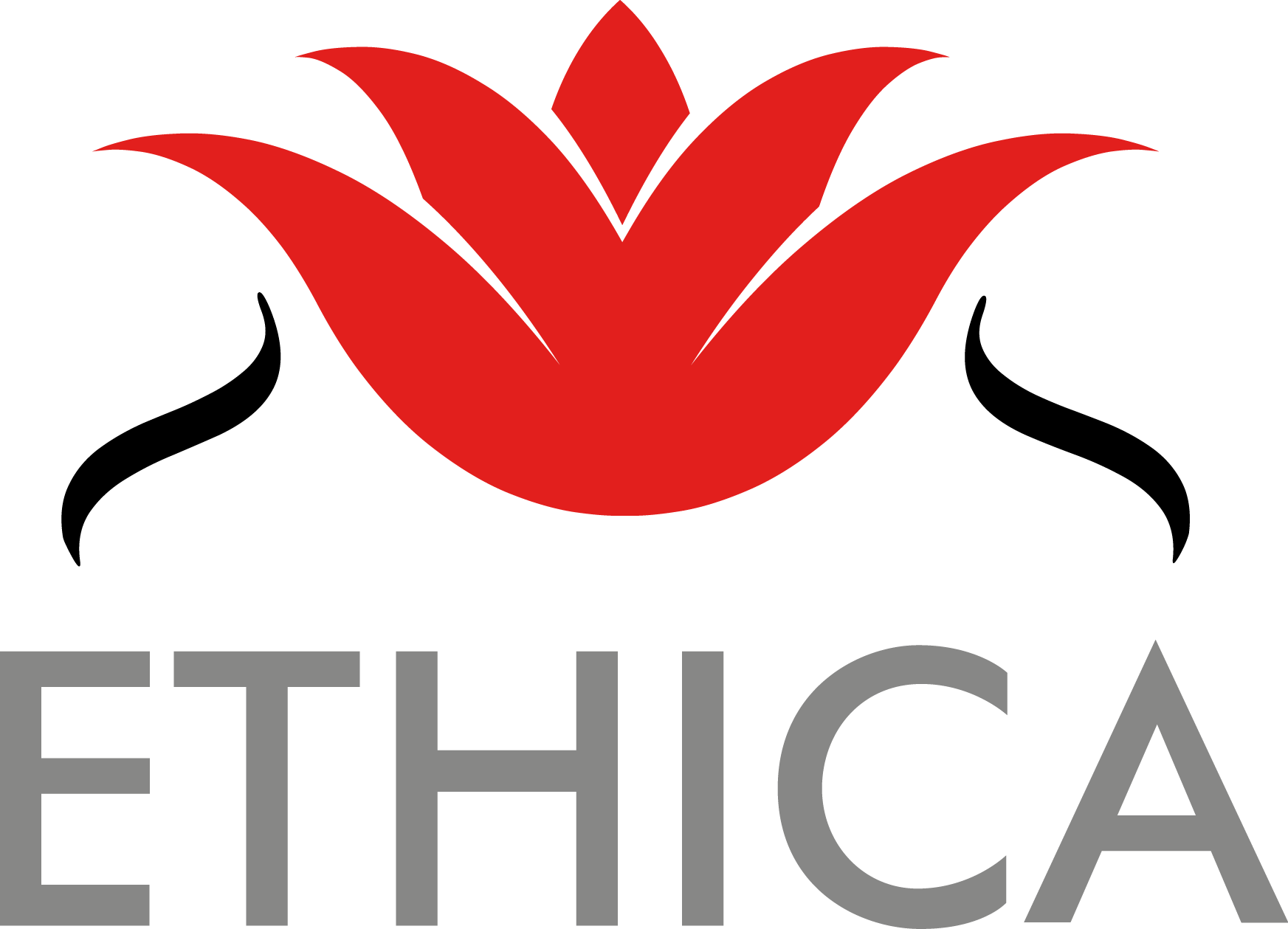 ETHICA Fiscaal BV